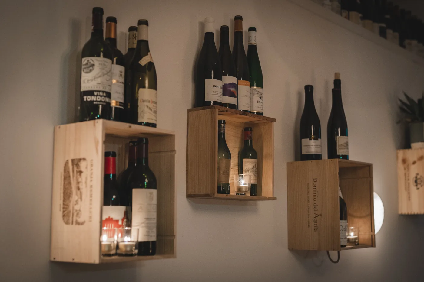 Terroir — photo 12