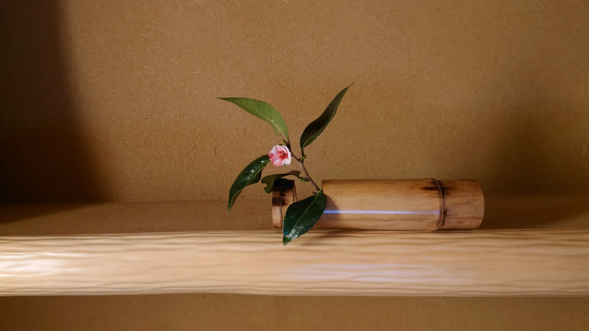 Nihonryori Tanryu — photo 44