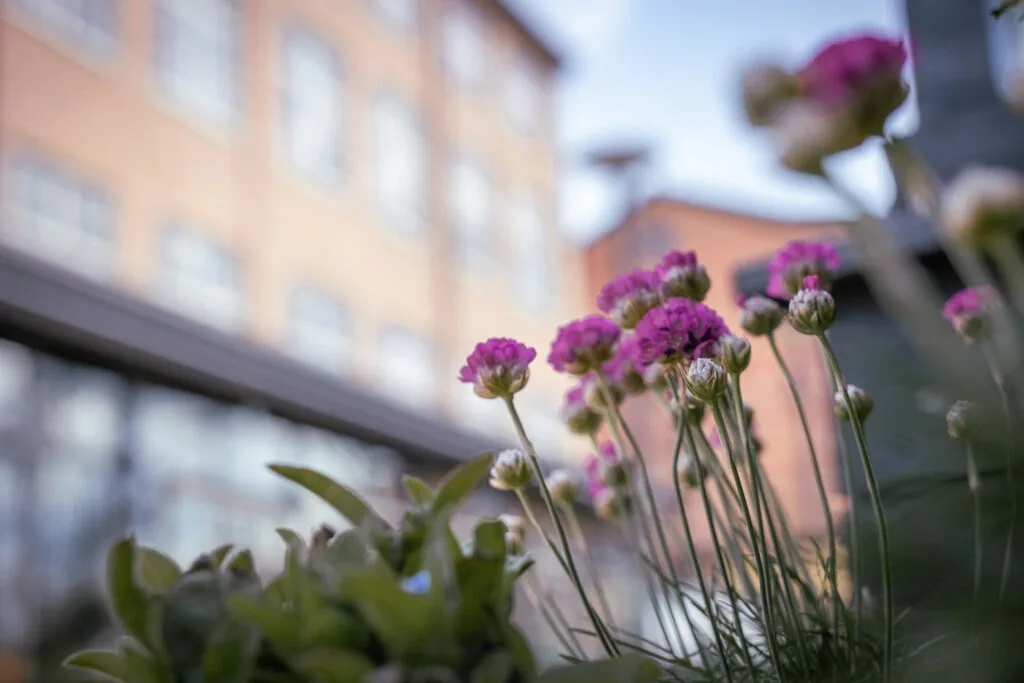 Nääs Fabriker — photo 9