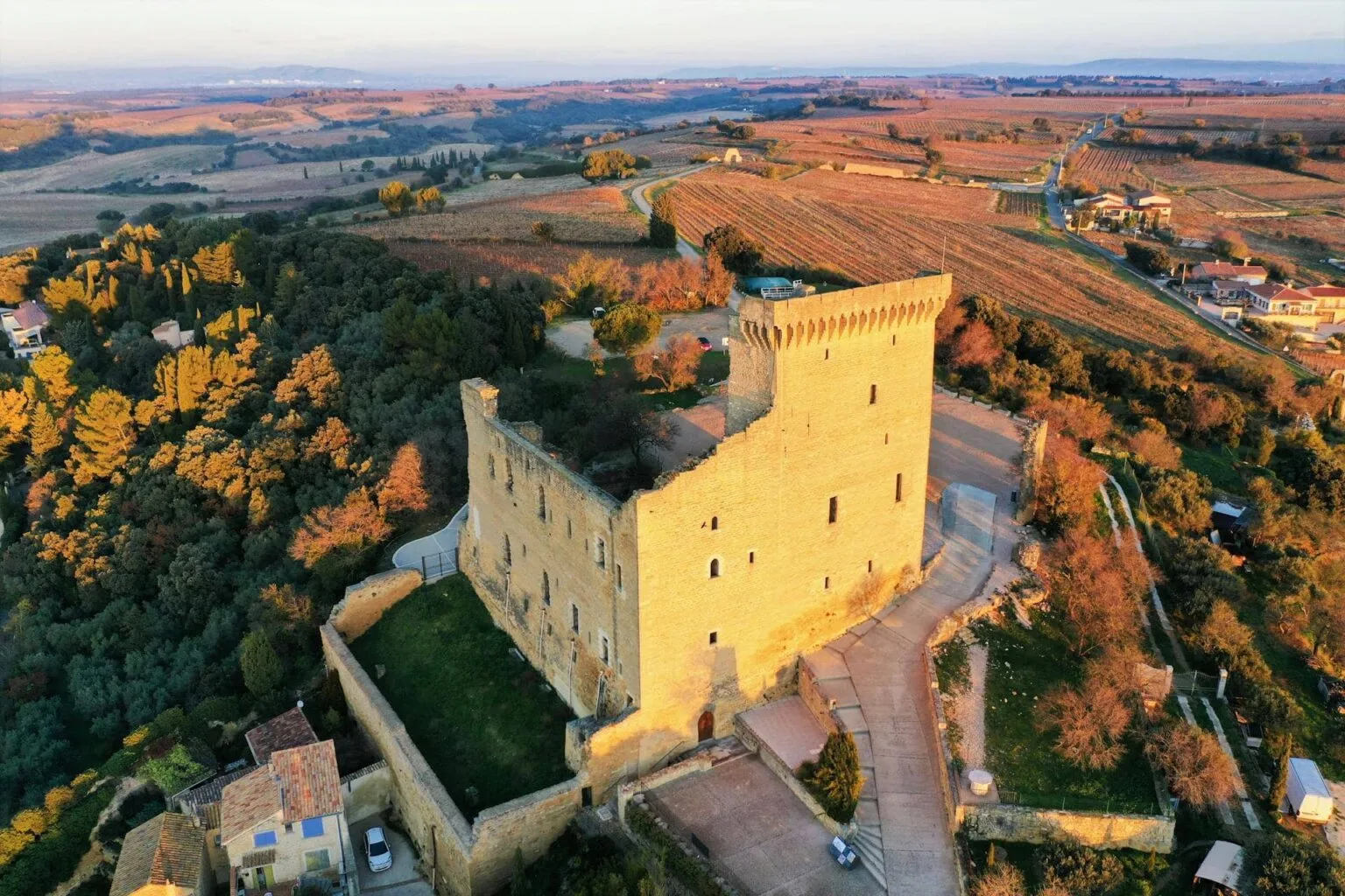 Le M - Château de Massillan — photo 4