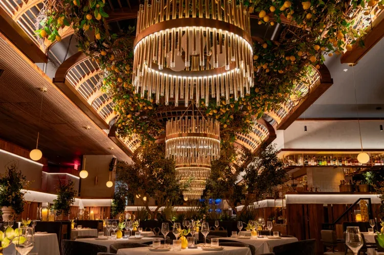 Sparrow Italia, Miami