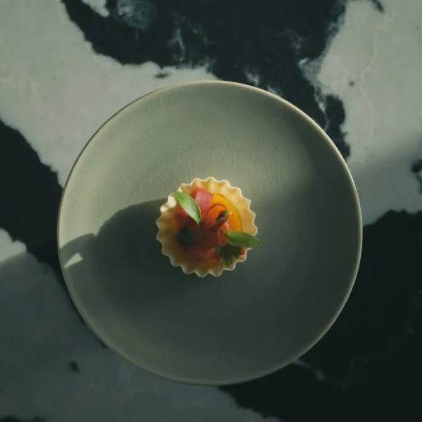 Tern — food