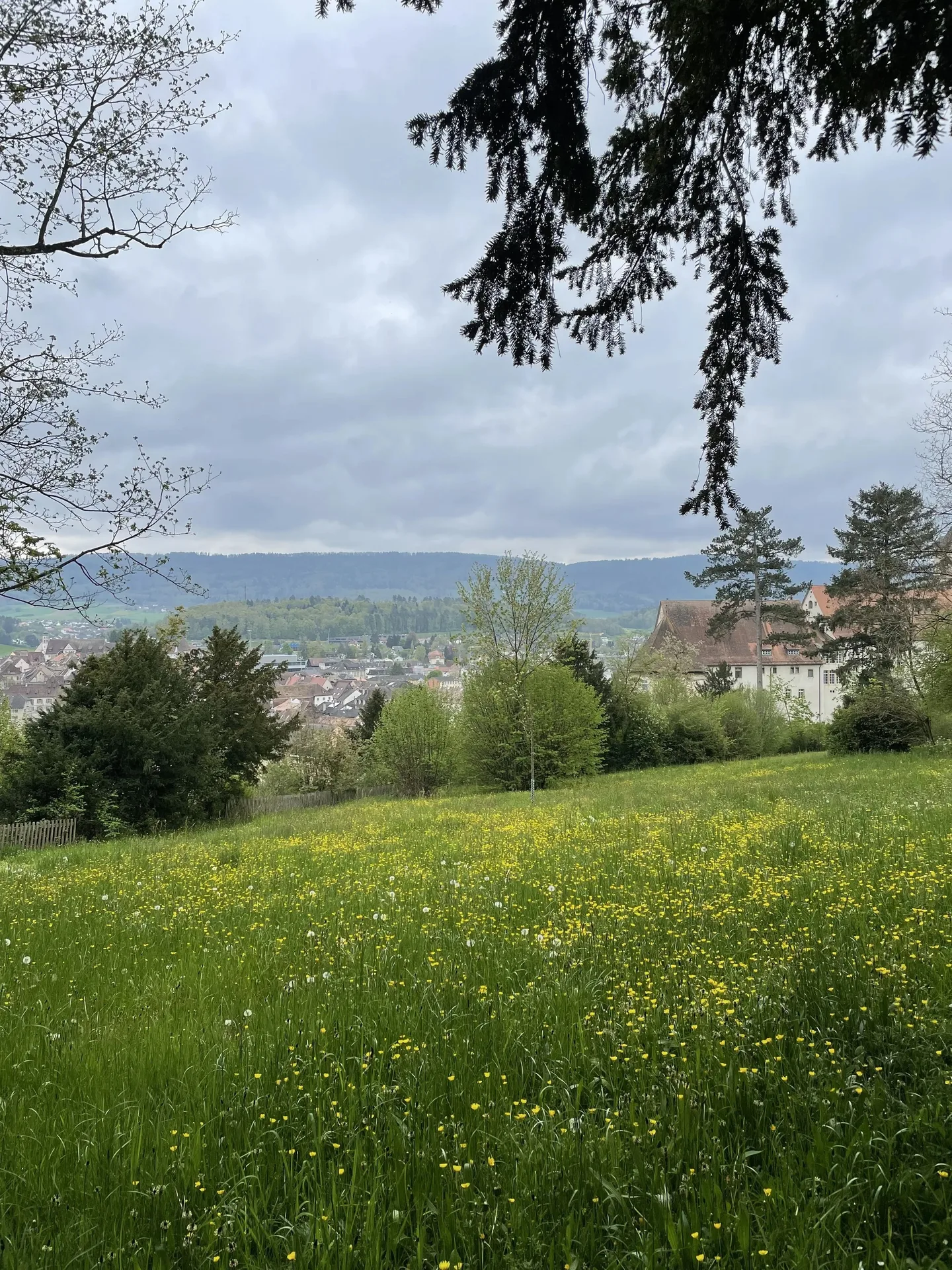 Auberge du Mouton — photo 23
