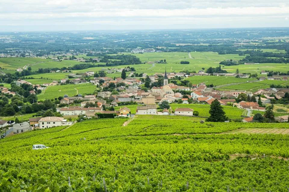 Auberge du Cep — photo 17