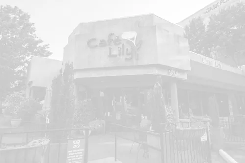 Café Lily — photo 5