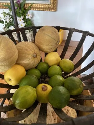 G.a. au Manoir de Rétival — photo 93