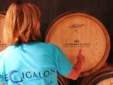Le Cigalon — photo 69