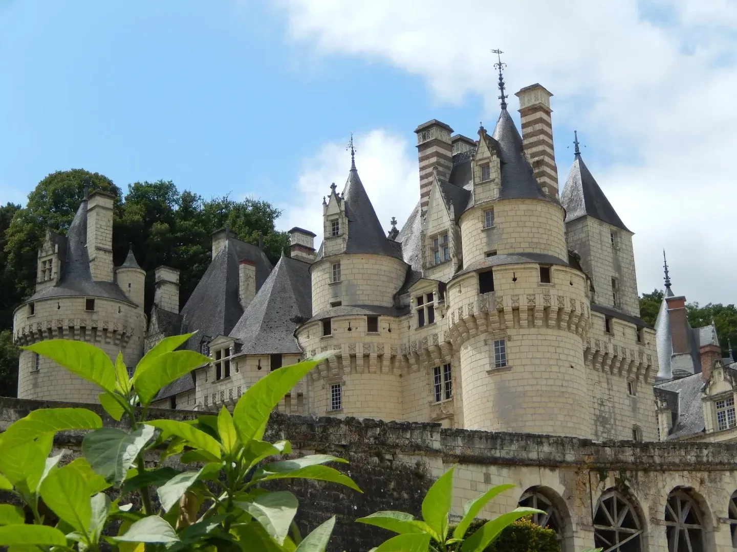 Château de Rochecotte — photo 33