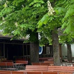 Gasthof Alter Wirt — photo 34