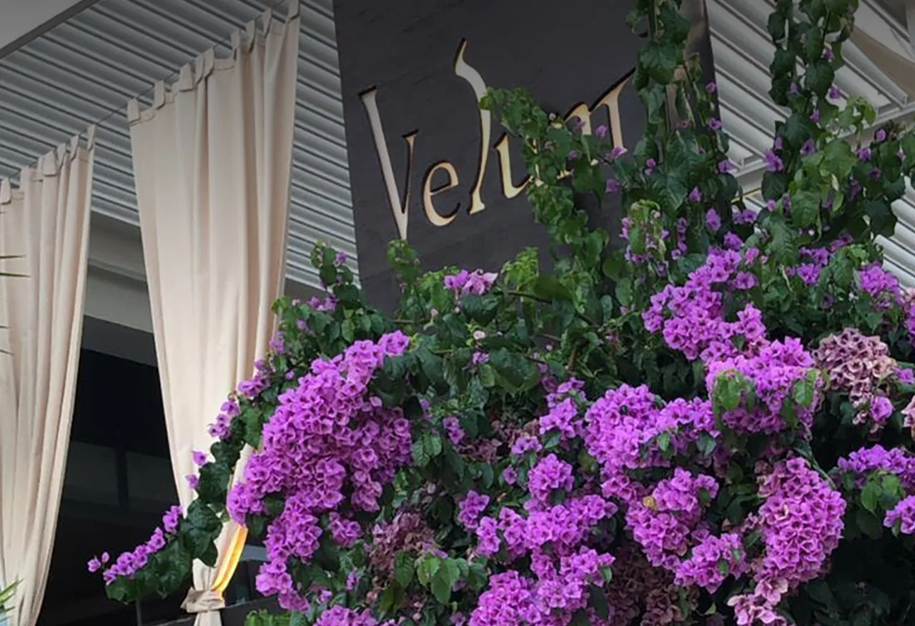 Restaurant Velum — photo 4