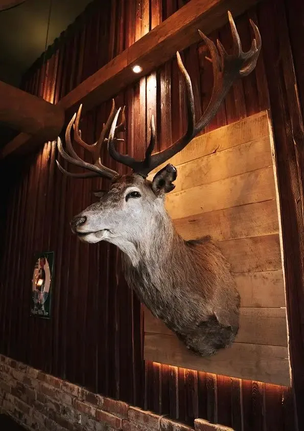 Restaurant Almrausch — photo 21