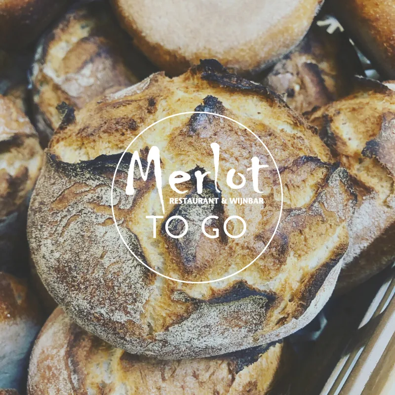 Merlot — photo 20