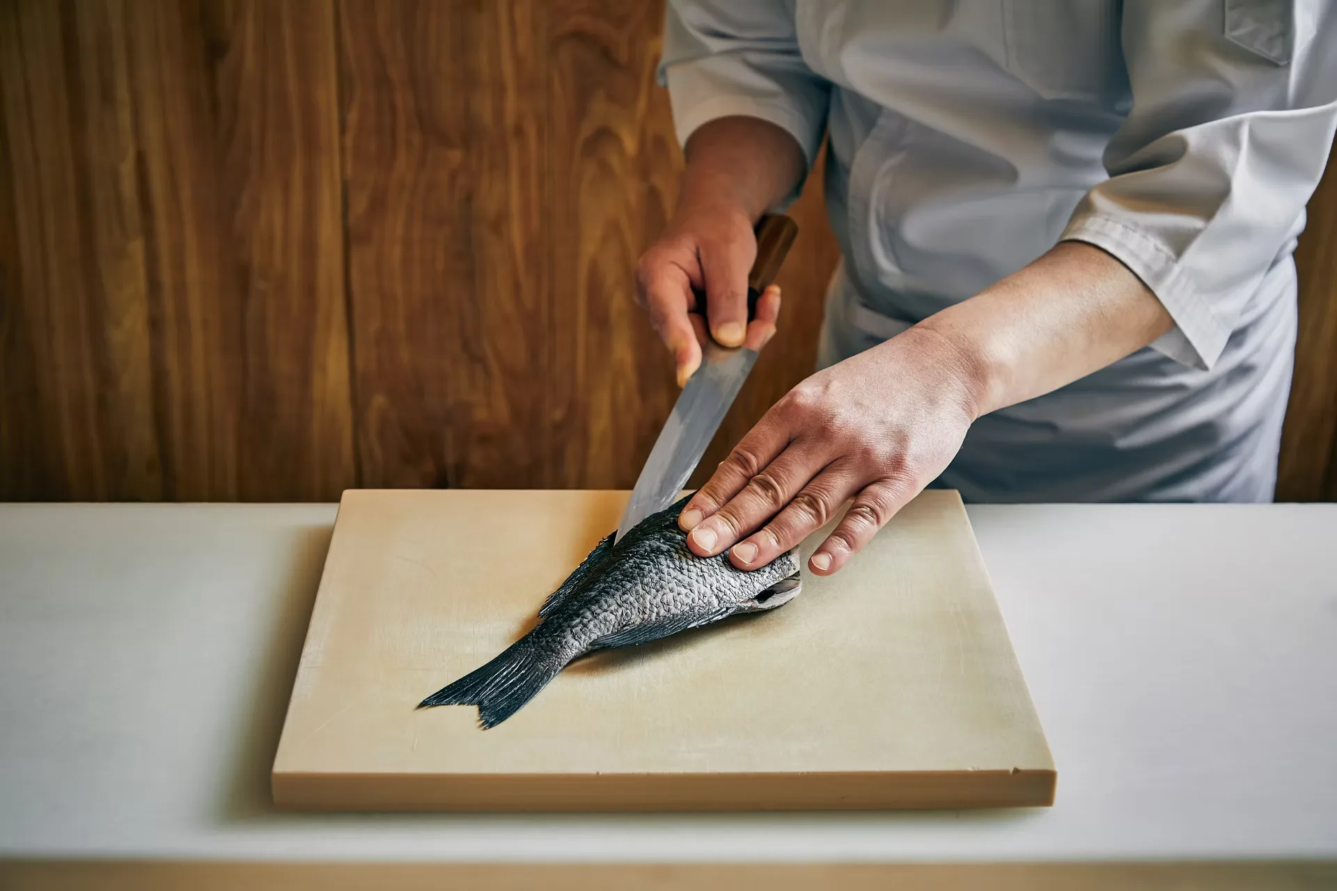 Omakase Yume — photo 5