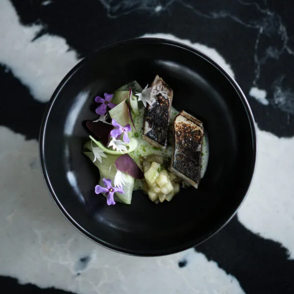 Tern — photo 16