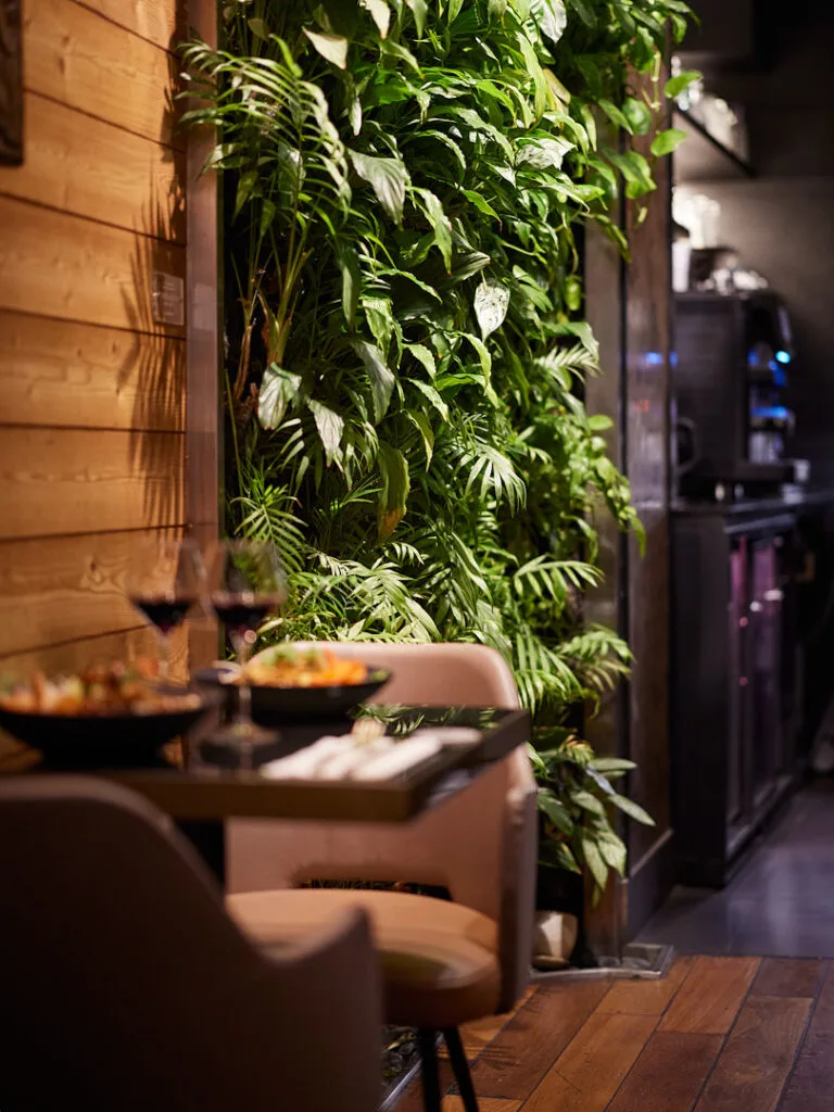Suan Thai — photo 77