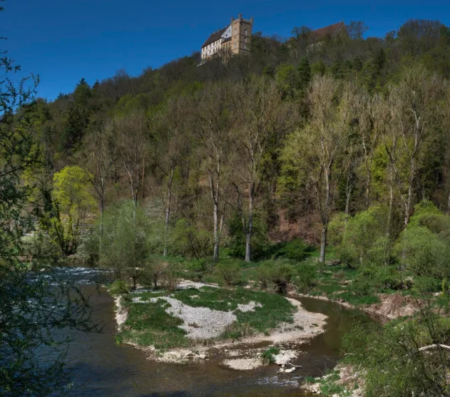 Restaurant Schloss Weitenburg — photo 25