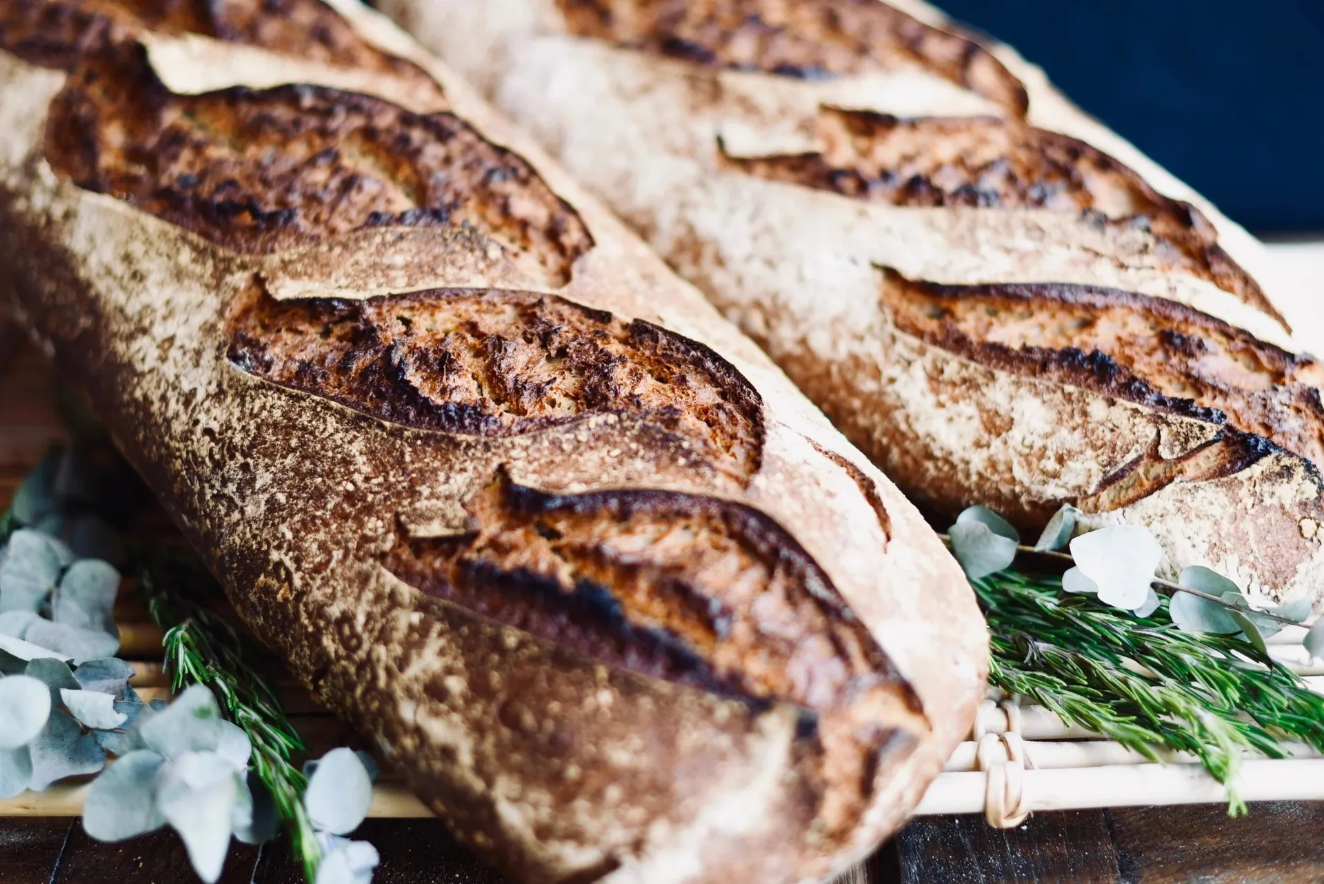 Levain Le Vin — photo 34