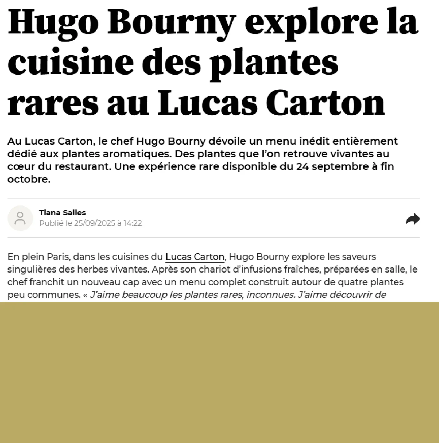 Le Petit Lucas — photo 17