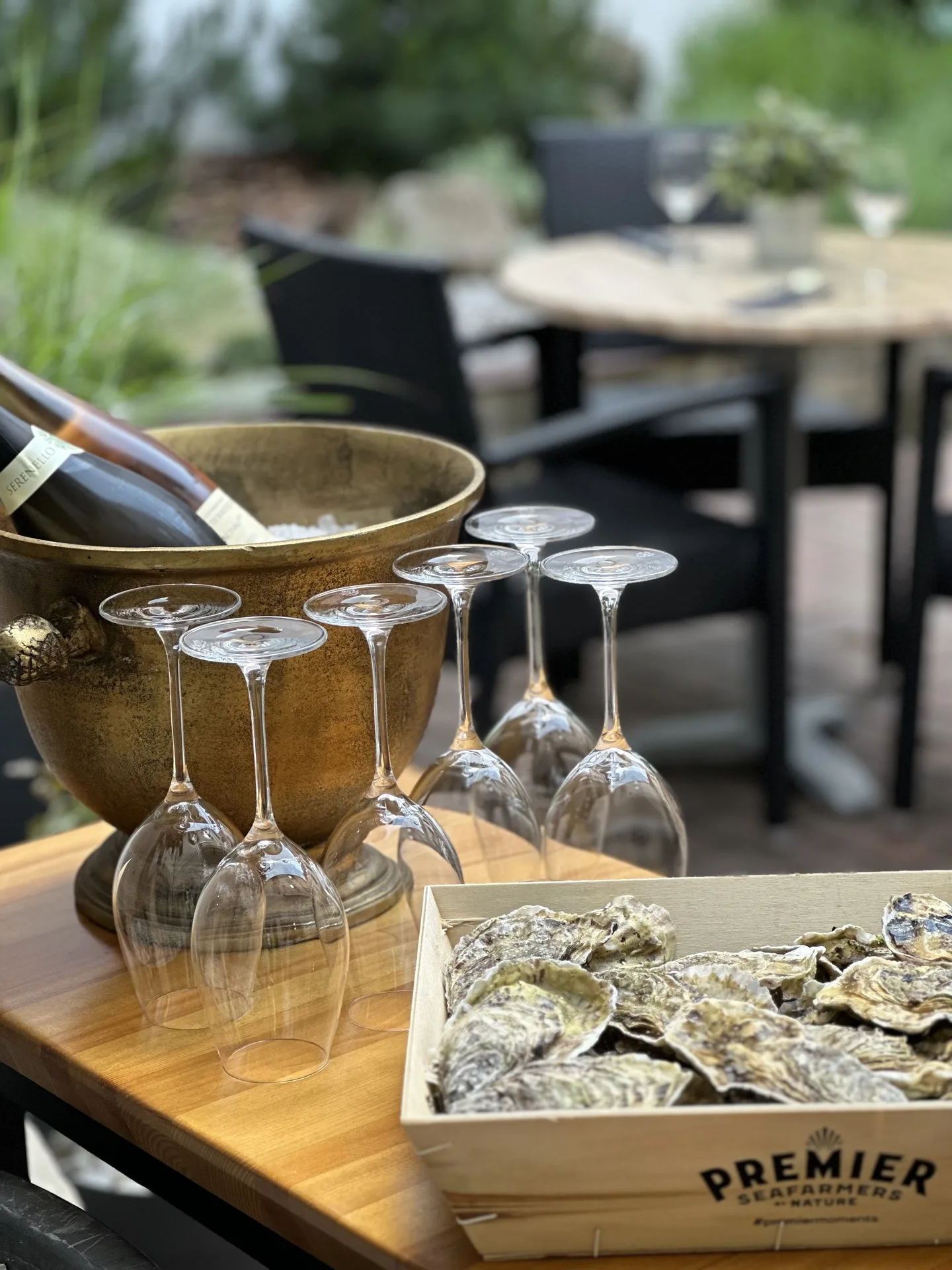 Rango restaurace — photo 71