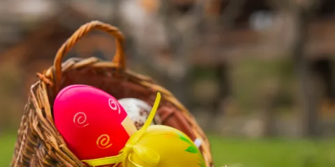 Albert 1er — photo 4