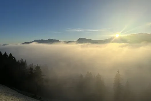 Wiesner Mysterion - Wiesner - Zauber — atmosphere
