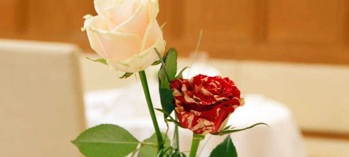 Zur Rose — photo 19
