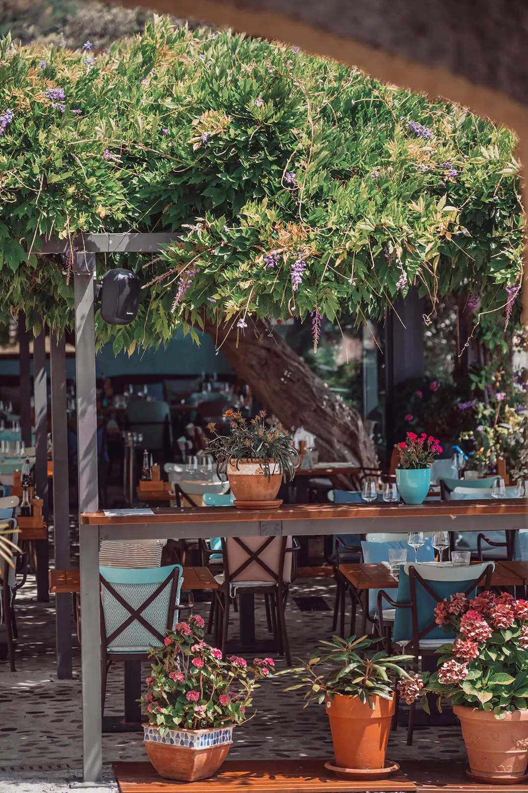 Ostaria Veranda — photo 114