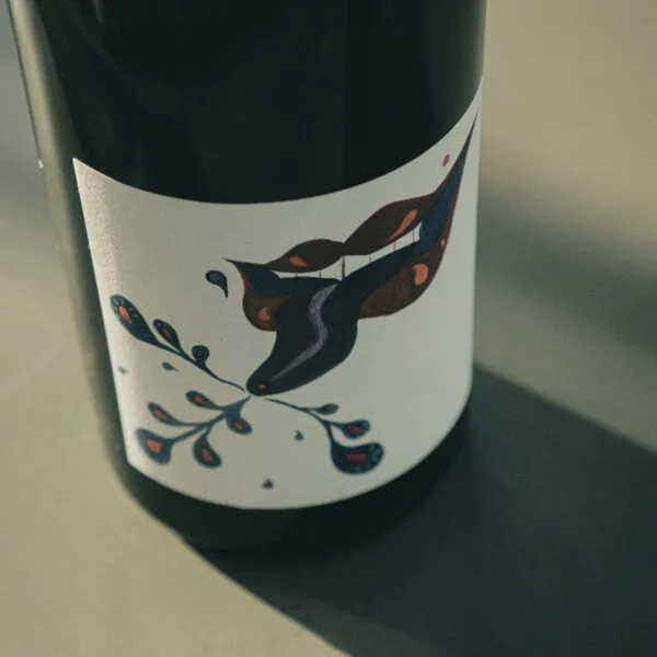 Tern — photo 6
