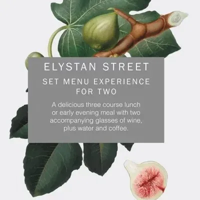 Elystan Street — photo 8