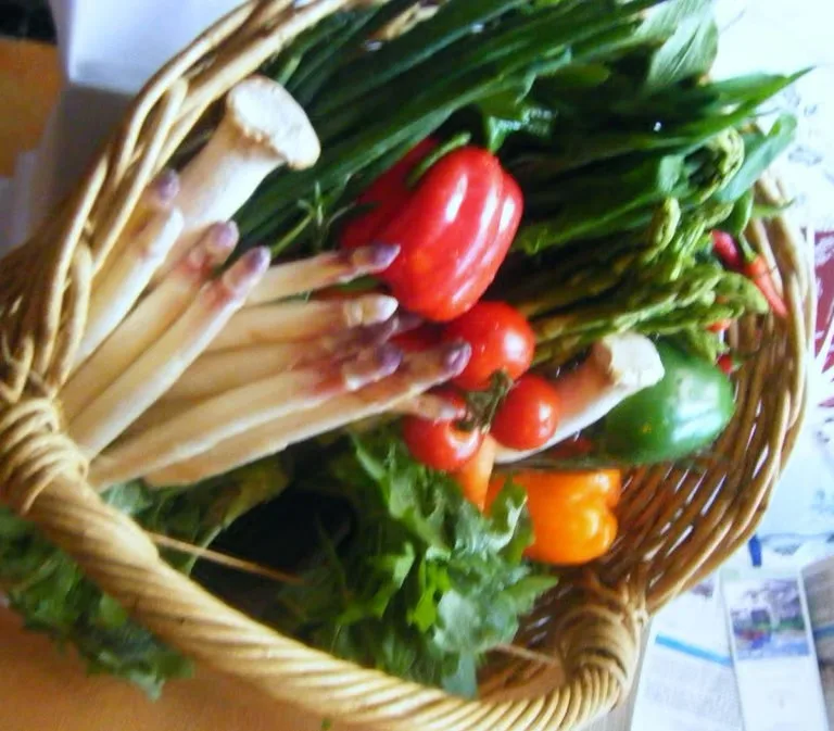 Waldrestaurant Zur Steinkiste — photo 20