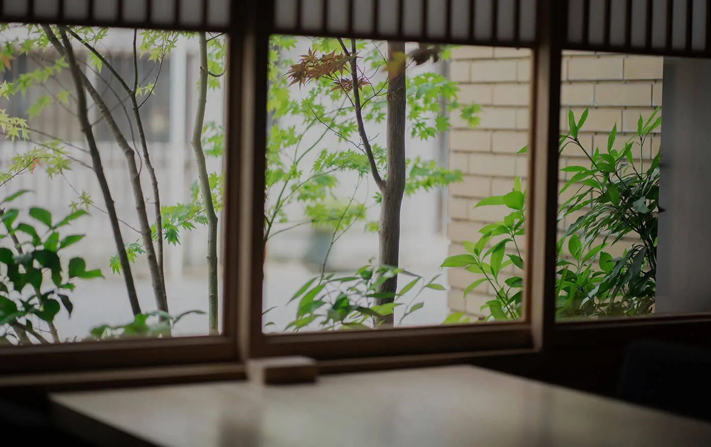 Eizan — photo 11