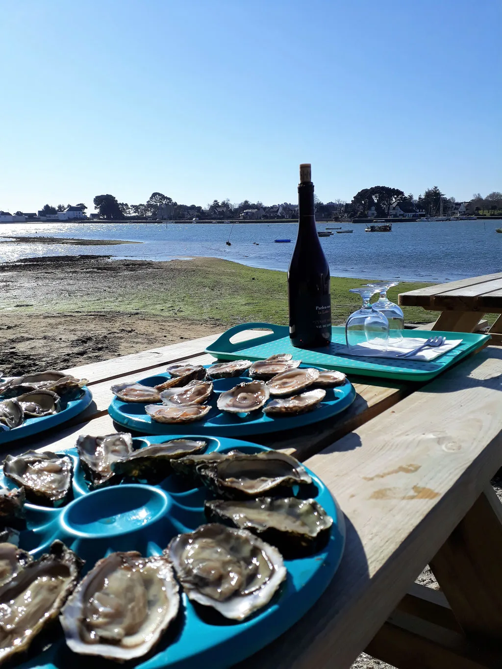 Aux Viviers de Penfoulic — photo 16