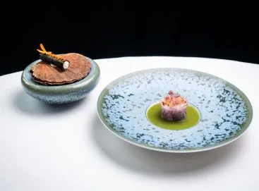 de Silveren Spiegel — photo 12