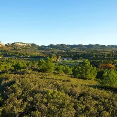 L'Aupiho - Domaine de Manville — photo 16