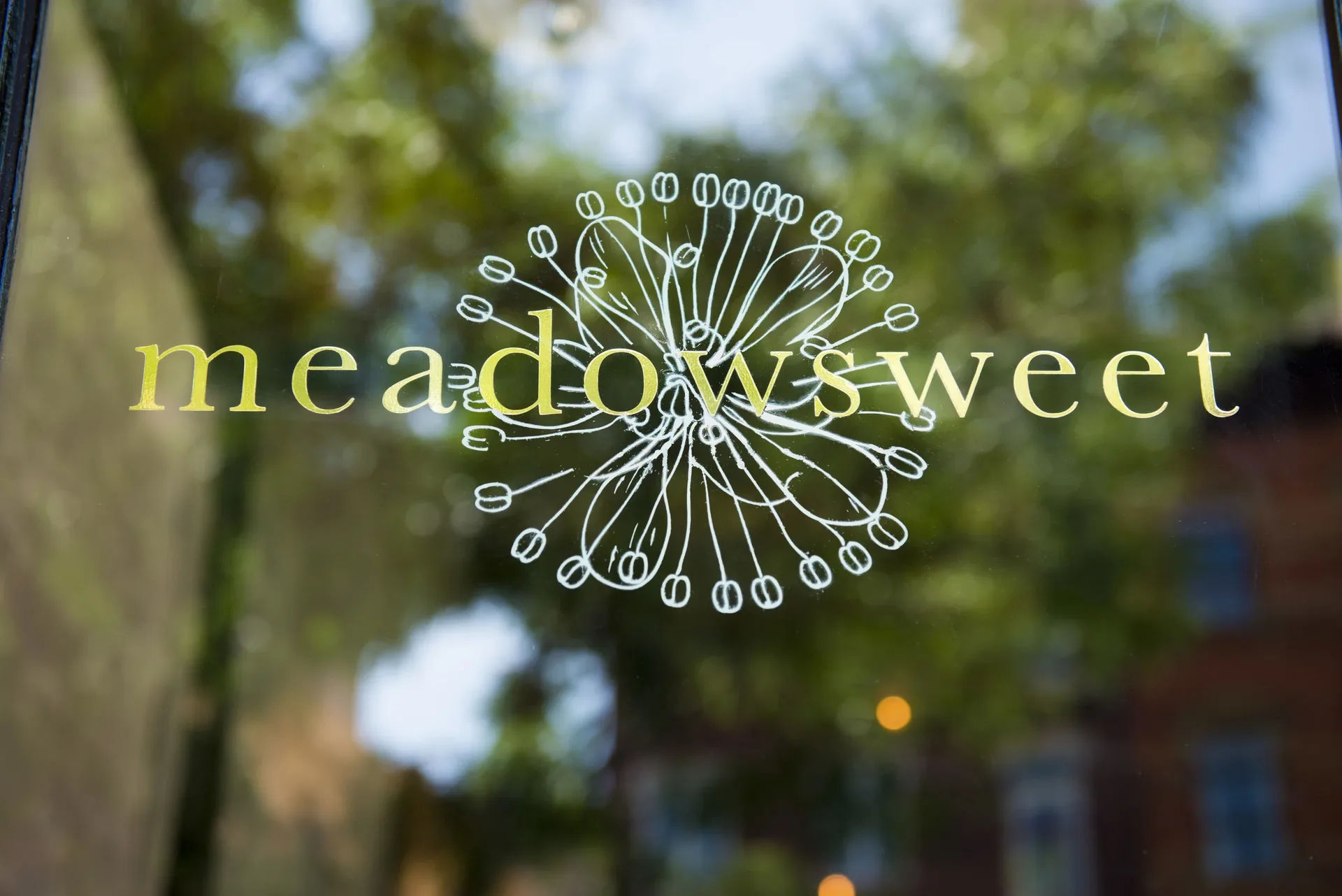 Meadowsweet — photo 16