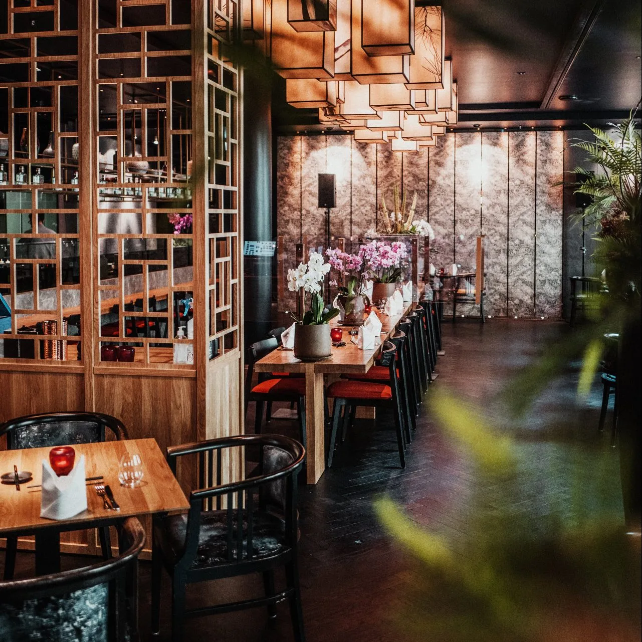 Restaurant Azuki — photo 10