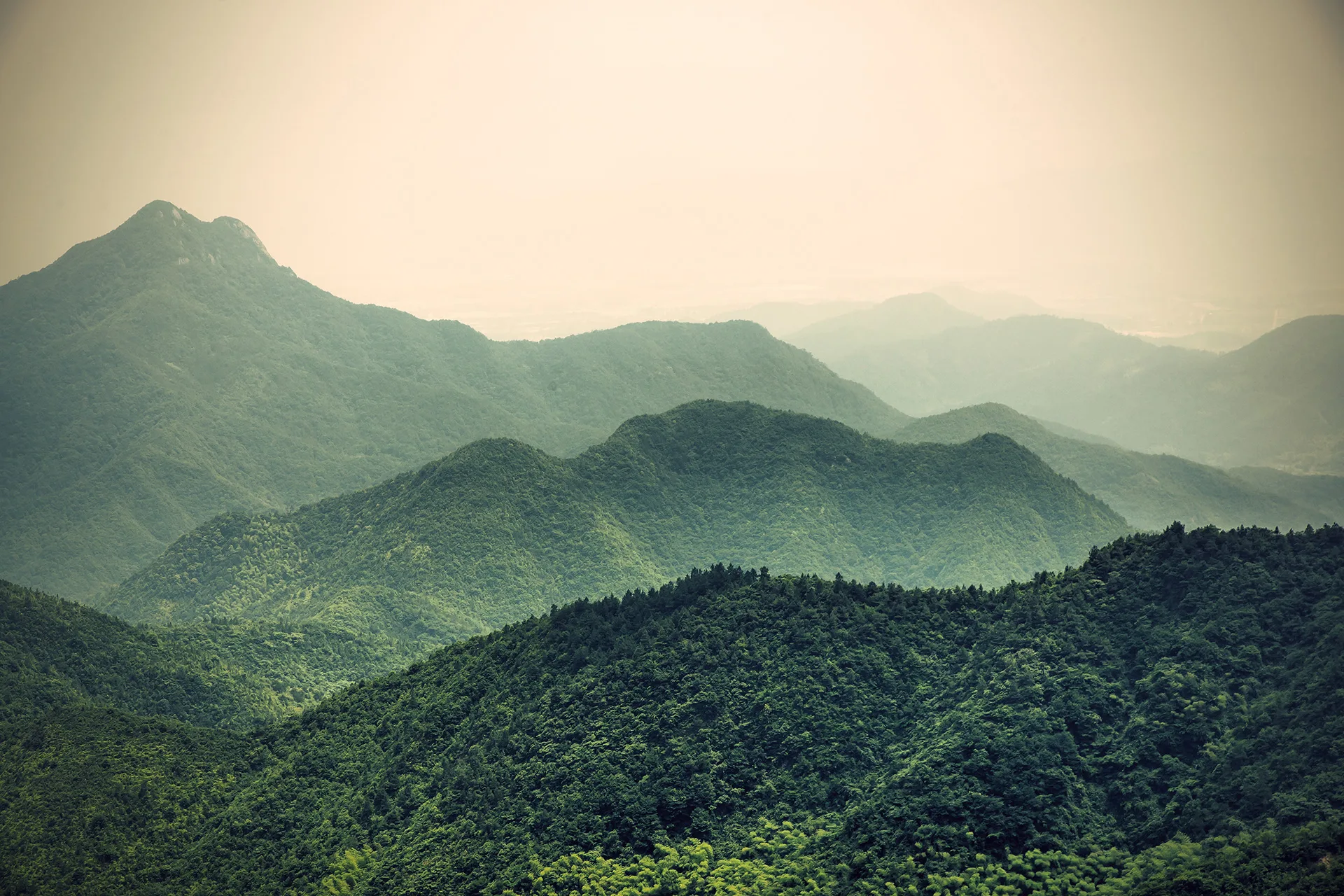 Hongxi Glattpark — photo 8