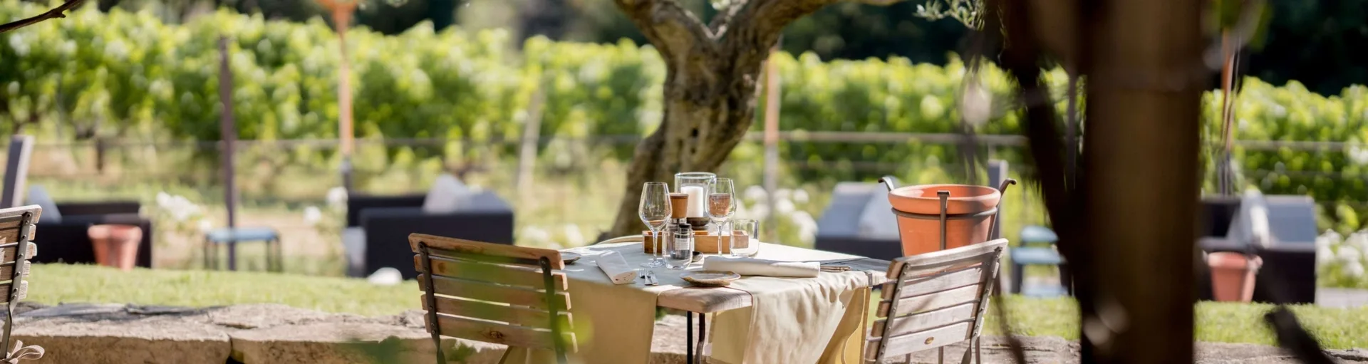 Les Vignes et Son Jardin — photo 4