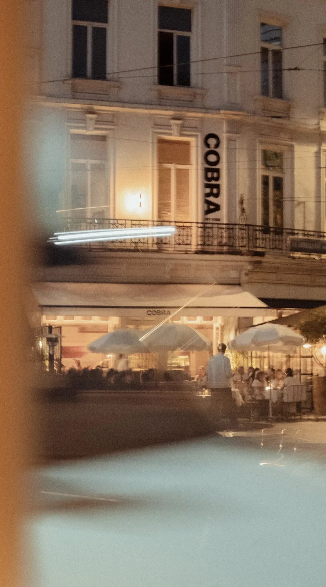 Cobra — photo 16