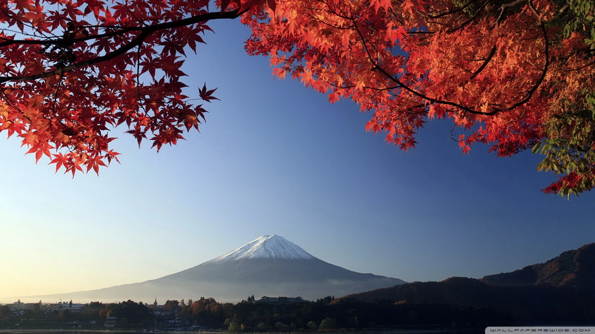Yoichi’s — photo 9