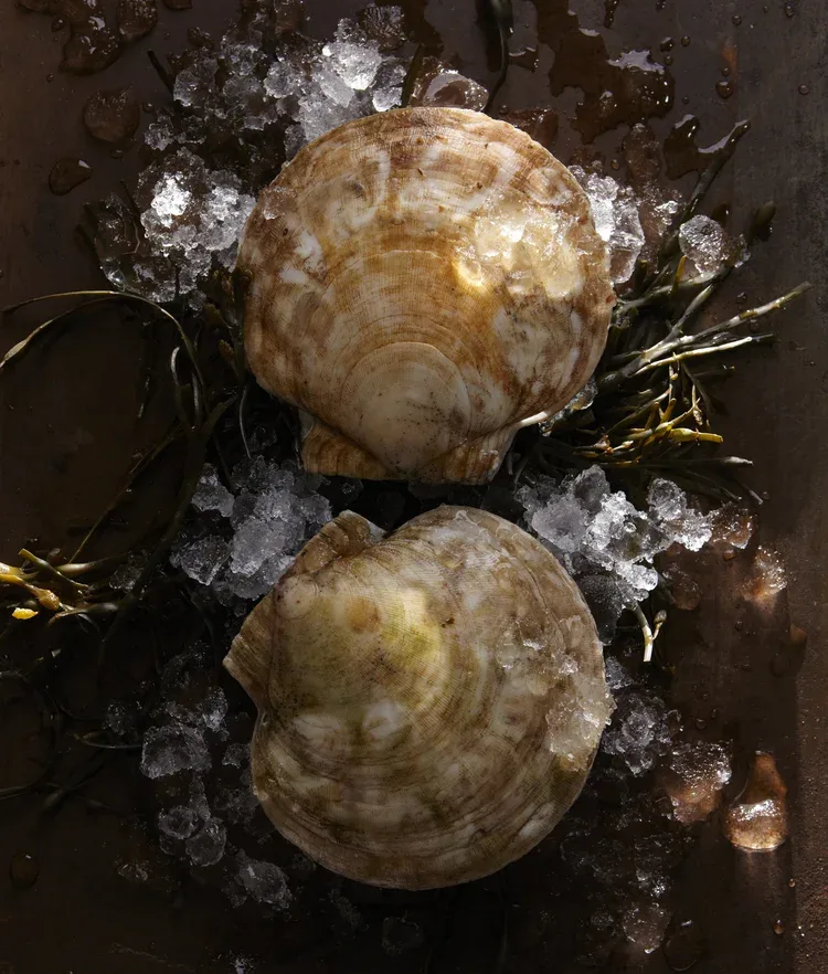 Via Carota — photo 18