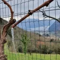 Agritur Calvola — photo 80