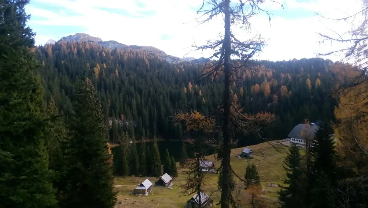 Gostilna pri Hrvatu — photo 18