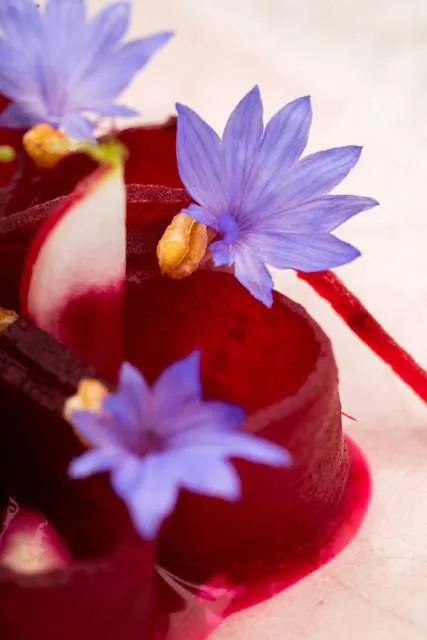 Séchex Nous — photo 11