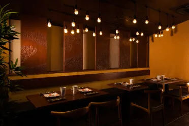 Kitashinchi Kushikatsu Bon — photo 37