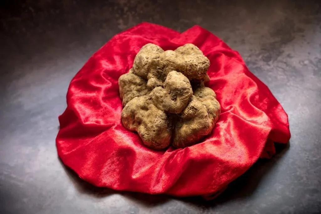 Forno d'Oro — photo 29