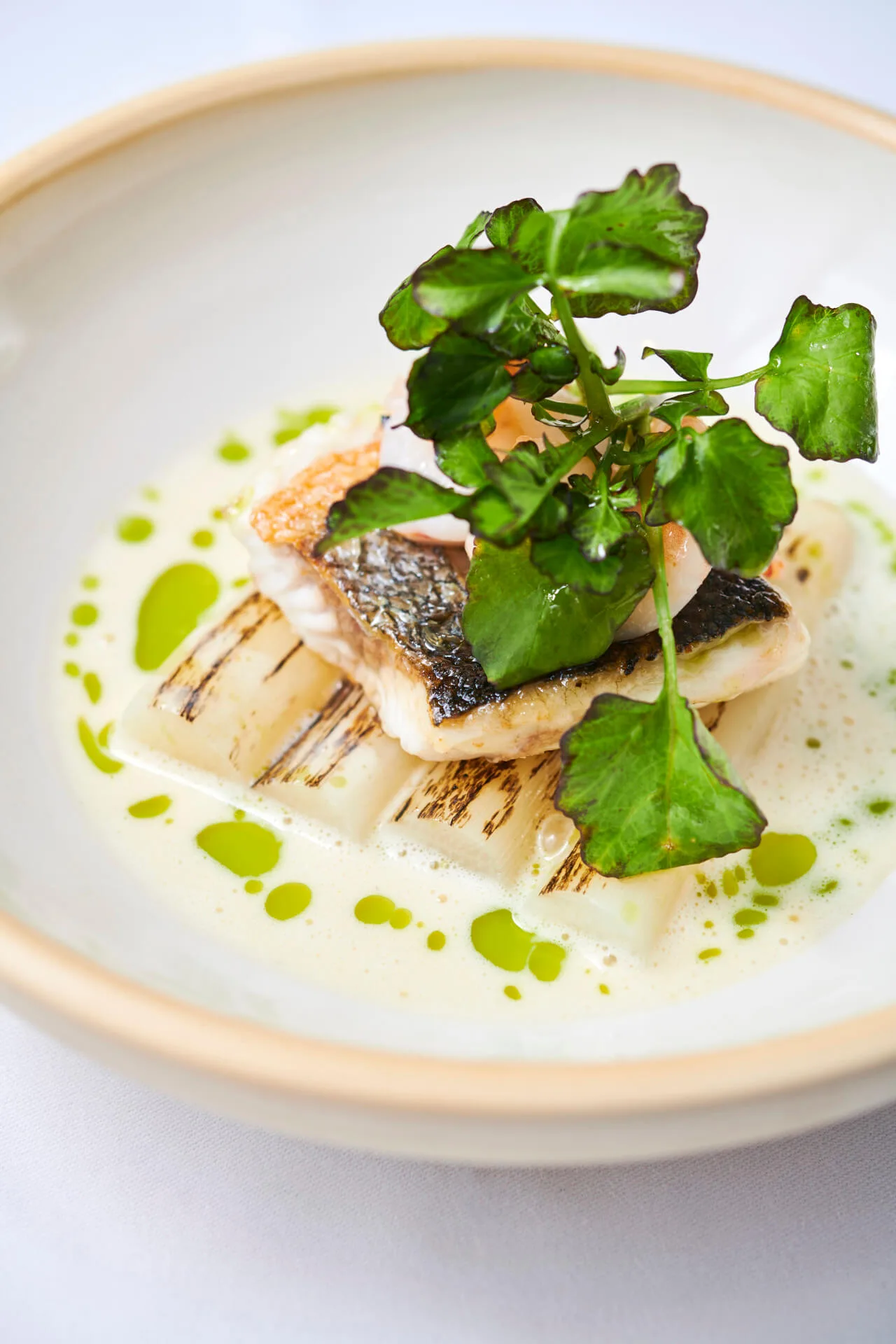 Restaurant alto — photo 13