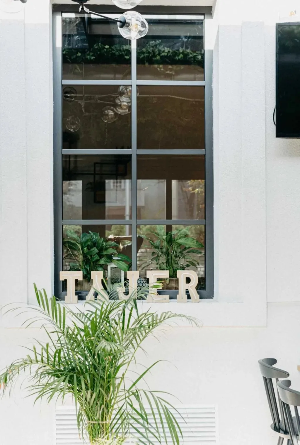 Tajer — photo 27