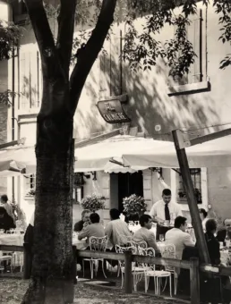 Al Calmiere — photo 17