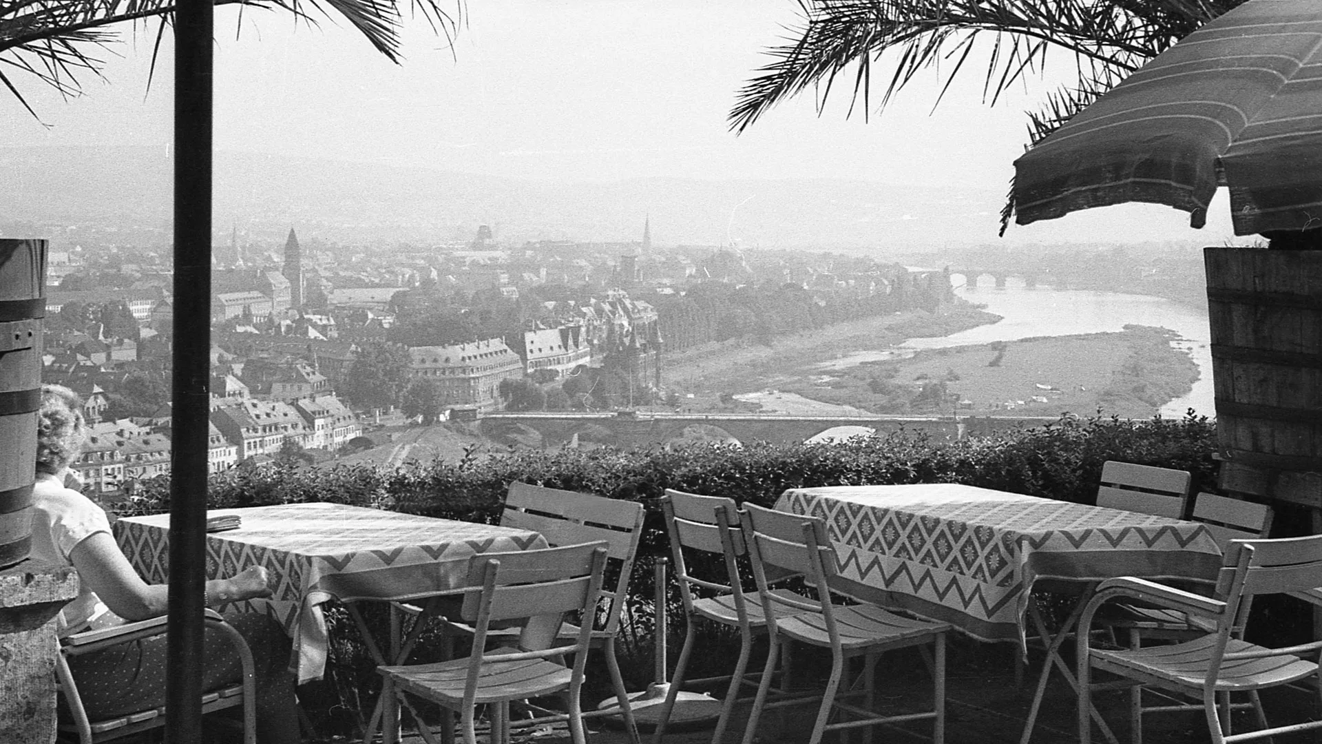 Villa Weißhaus Restaurant — photo 56
